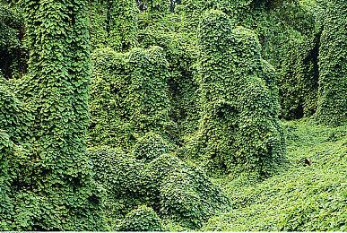 传奇桌面游戏联手宝可梦！艾赐魔袋中国宣布推出宝可梦版璀璨宝石