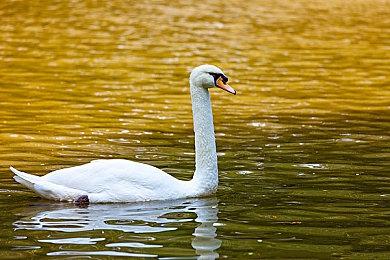 惊人销量！ 合作爬山游戏《PEAK》6天卖出100万份