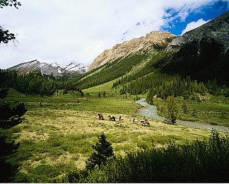 中国台北国际电玩展2月2日开始 任天堂首度参加