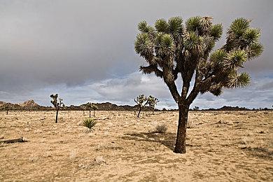 《红霞岛》Steam玩家流失严重 不到400人