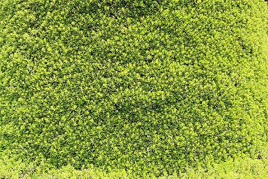 高能电玩节：《巴别号漫游指南》最新宣传片